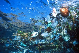 2012 05 oceans plastique