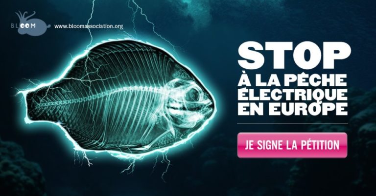 2017 11 25 bloom peche electrique petition