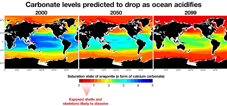 2016 04 ocean acidif carbonate levels